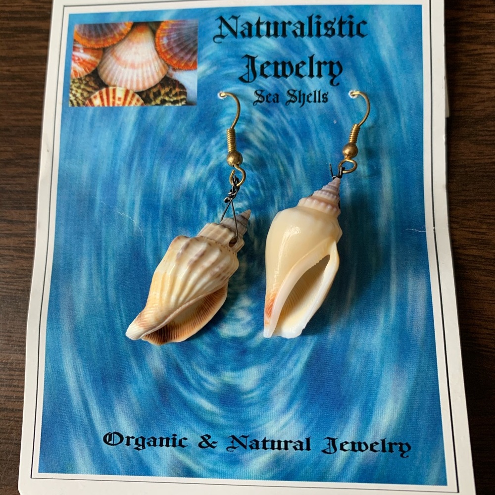Brand New Dangle Seashell Earrings